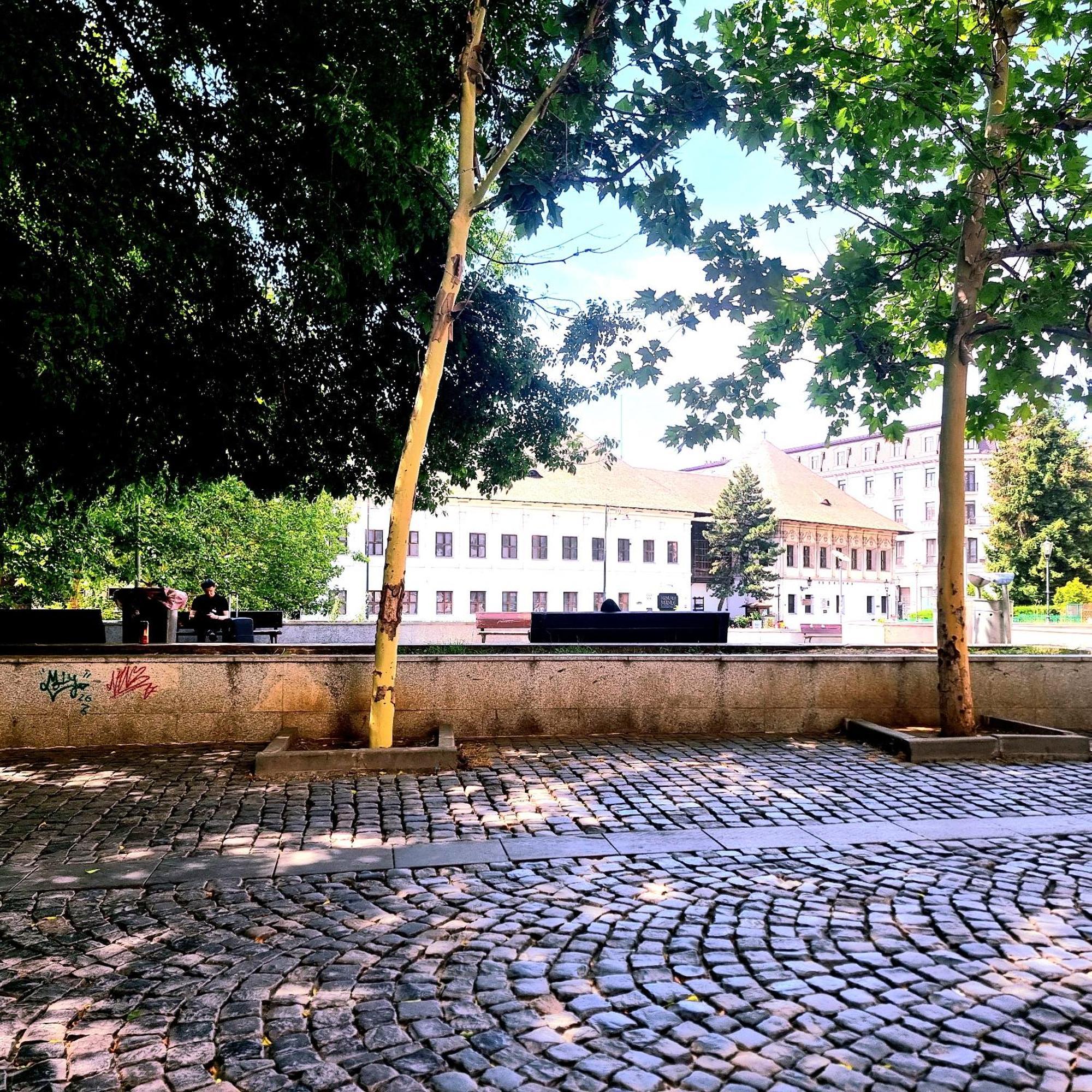 Enchanting Retreat - Historic Old Town - Pet-Friendly Haven - Steps From Unirii 布加勒斯特 外观 照片