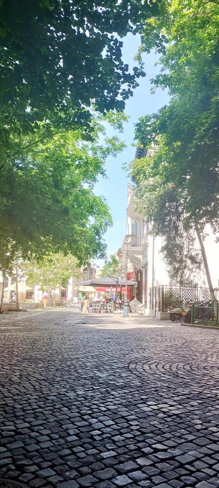 Enchanting Retreat - Historic Old Town - Pet-Friendly Haven - Steps From Unirii 布加勒斯特 外观 照片